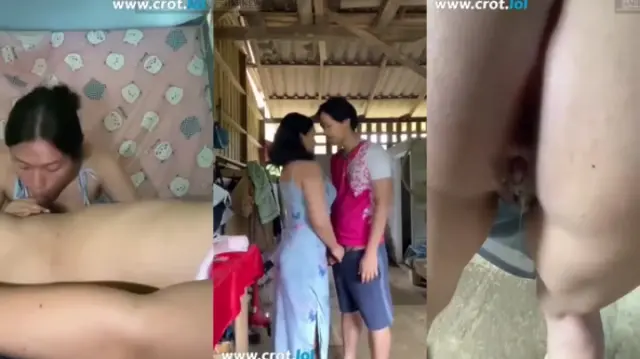 Skandal Kebun Sawit 5