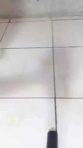 Cici Ardan 21