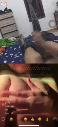Veniao 26