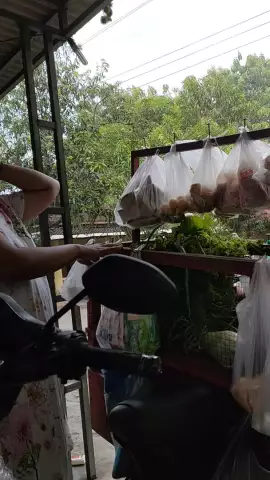 ibu beli sayur lupa pake beha