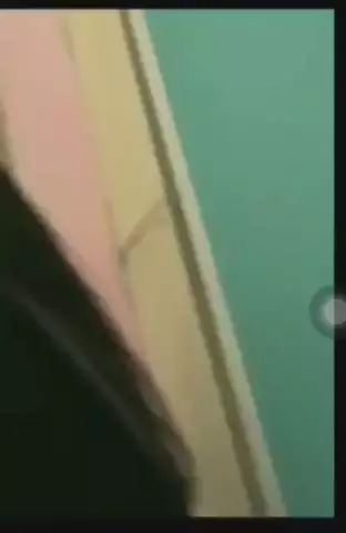Zalva TikTok 1
