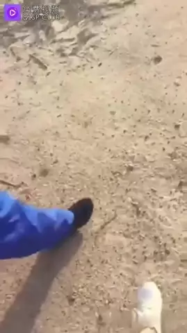 Prank tukang bangunan