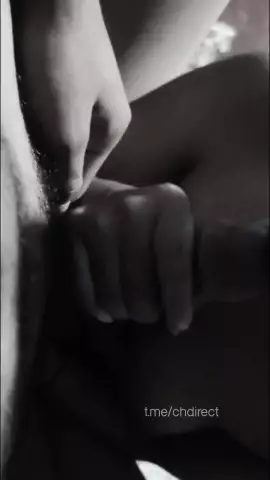 Ayara 16