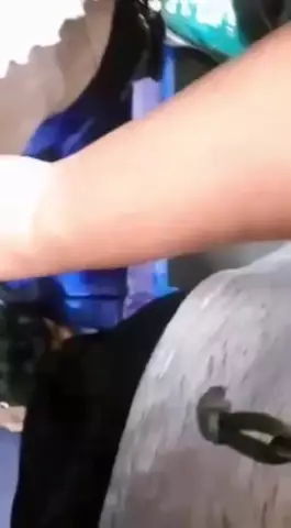 voyeur