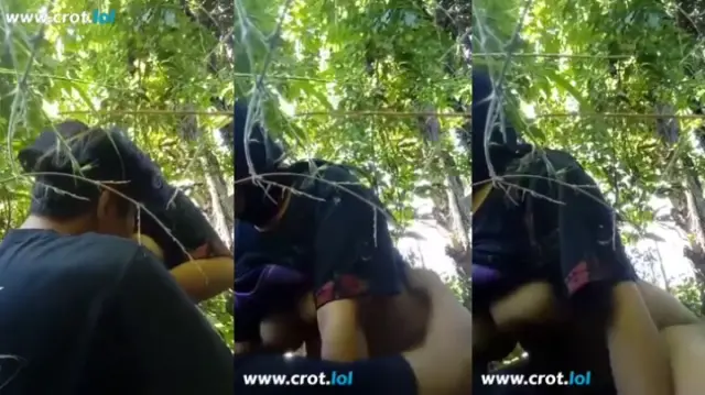 Grabnwatch.com Video (10)