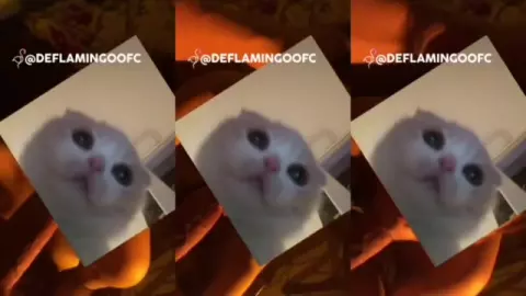 Carla Manda Crott! Kont*l Kerasnya Bikin Ngent*t Gak Berenti!