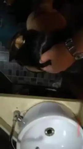 Bạn c&ugrave;ng lớp b&ecirc;n&ma; say v&agrave;o nh&agrave; vệ sinh lu&ocirc;n kh&ocirc;ng chịu &dstrok;ược kieu anh