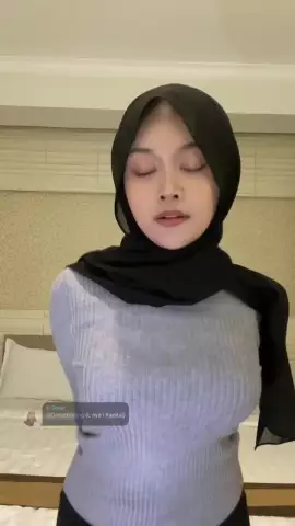 Sheii Update 1