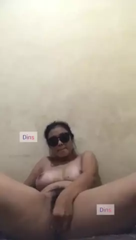 Dinnysluv 1