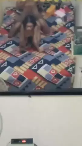 Shena Hyper 31