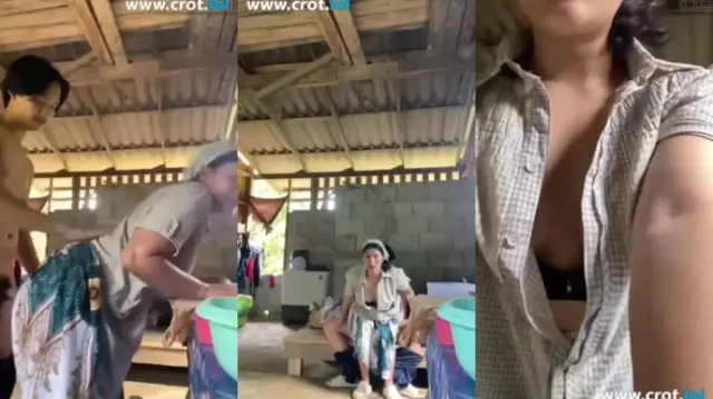 Skandal Kebun Sawit 3