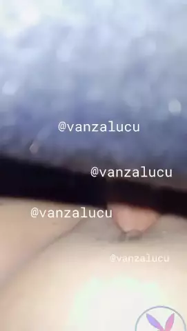 Carla Vanzalucu 41