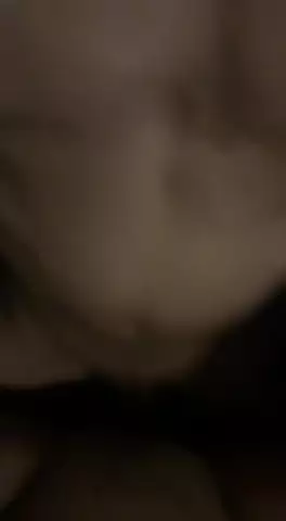 Cicireal 4