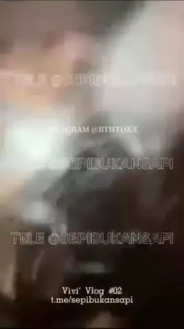 SepiBukanSapi 4