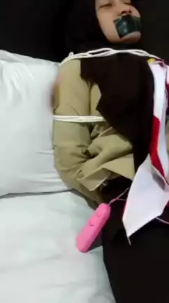 s vrl