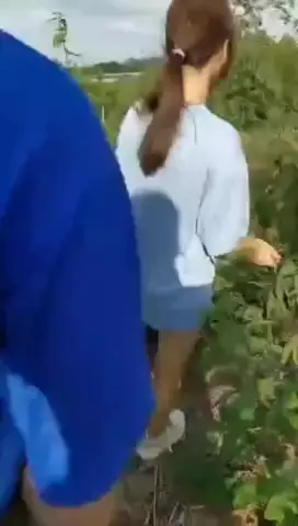 Bokep Indo Tergangbang Di Hutan Dengan Kakak Dan Temannya