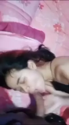 Cicireal 17
