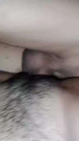 Cici Ardan 24
