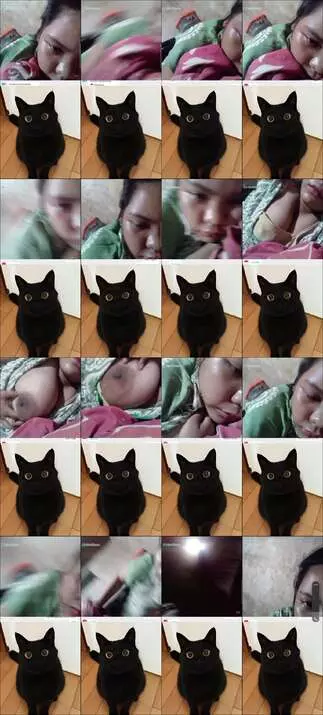 omeetv tobrutnya