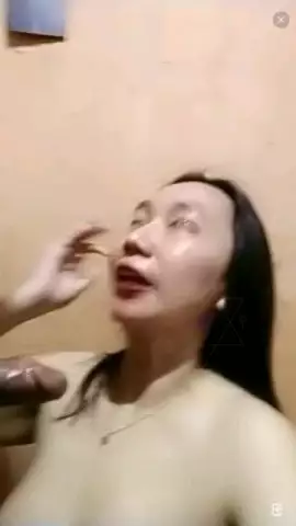 OLLA New 
