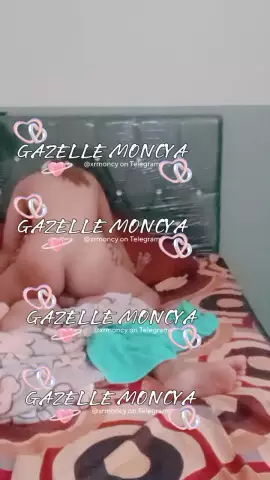Moncy Gazelle Update 1