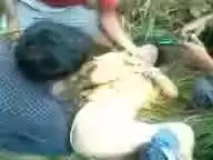 Ketahuan ngewe malah disuruh lanjut warga