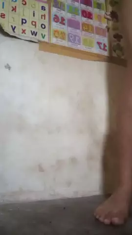 Lyla 14