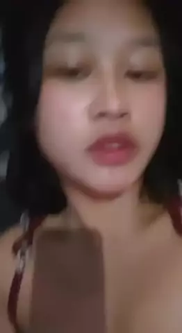 Zia 15