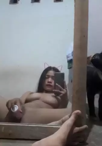 Aracwy 19