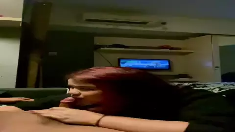 Audy 44