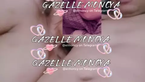 Moncy Gazelle Update 37