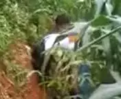 Ngintip ABG Di Kebun Singkong