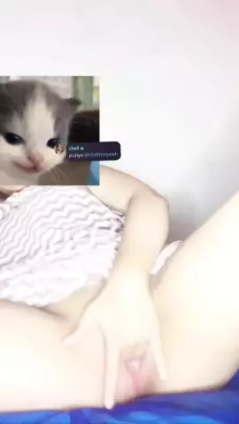 Chellmey 4