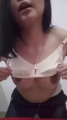 perckpan1