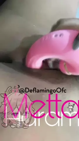 Mettaharam 46