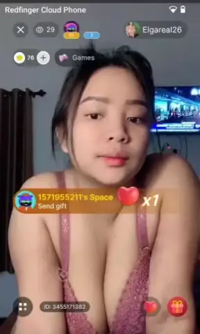 Elga 2