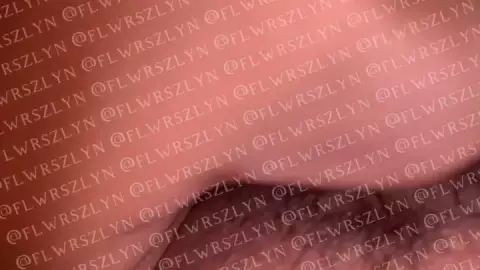 Hijab Flwrszlyn Update 27