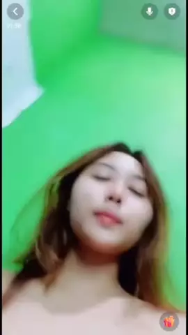 Vcs livia livu